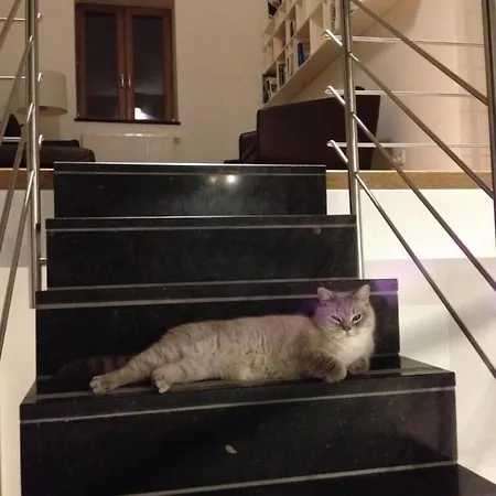 לינה וארוחת בוקר Le Presbytere De